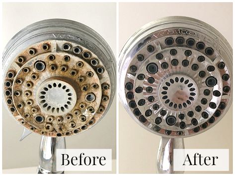 Clean Your Shower
