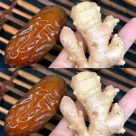 Death Begins in the Intestines